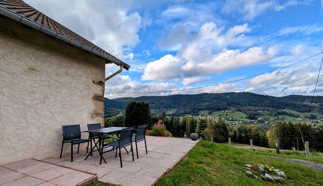 Cozy Apartment, 2-4 people, Vosges, Pets allowed