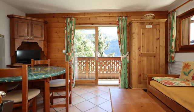 Cozy apartment 5 pers, ski-in, pets allowed