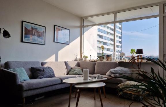 Cozy apartment close to Copenhagen