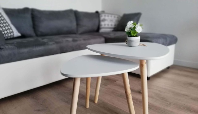 ★ Cozy Apartment ★ close Weather France and Airbus ★