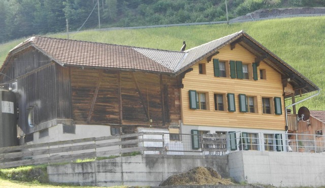 Cozy apartment, family-friendly, detached, off the main road