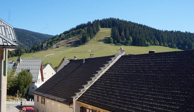 Cozy apartment in Autrans center, 4 pers, south terrace, pets allowed