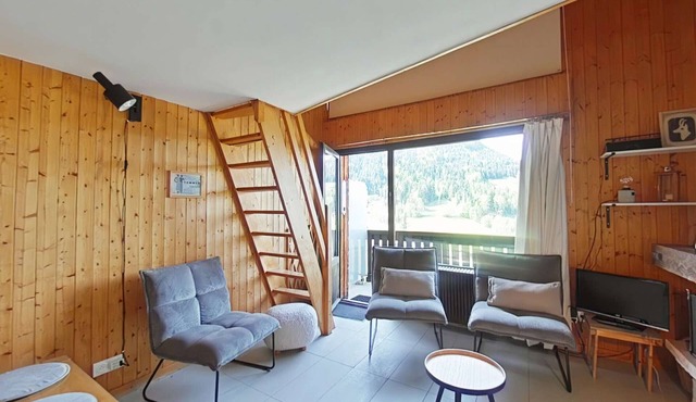 Cozy apartment with fireplace and balcony, sleeps 6, Le Grand-Bornand