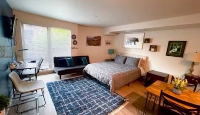 Cozy apartment in charming Seattle with AC, WiFi