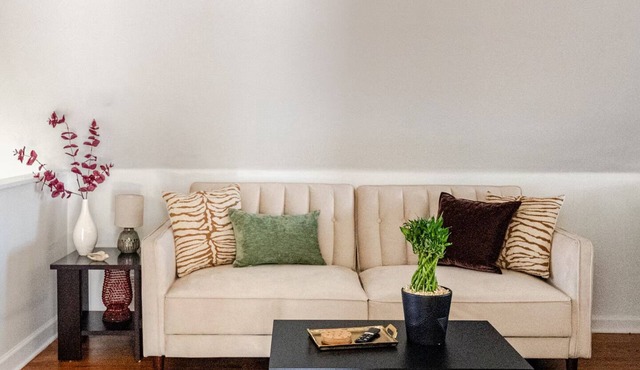 Cozy Apartment in Forest Park