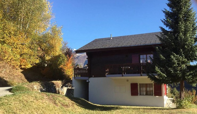 Cozy apartment in Fiesch/Wallis with outside terrace