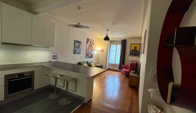 Cozy apartment in Geneva