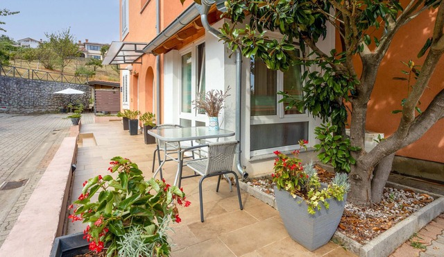 Cozy apartment in Kastav with WiFi