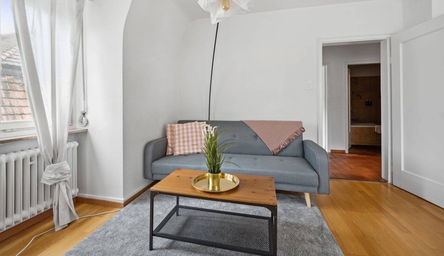 Cozy Apartment in the heart of Zurich