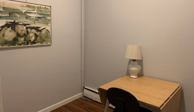 Cozy apartment in the lively heart of Boston