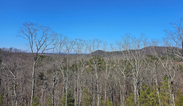 Cozy Apartment in Tranquil Talking Rock. New Listing!