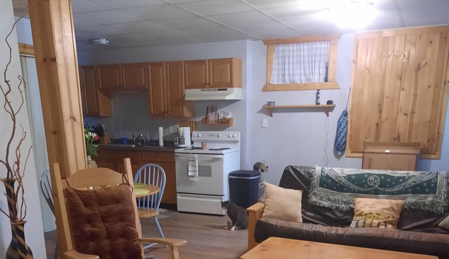 Cozy apartment located 1/2 mile from Harvey's Lake. Beach membership included