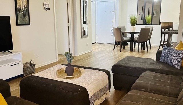 Cozy Apartment Mins from OakBrook mall, restaurants and attractions.