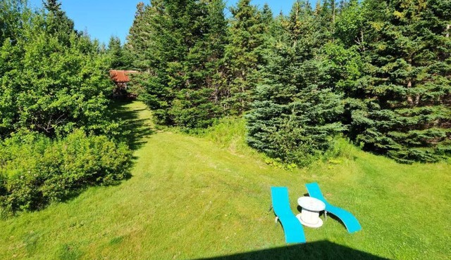 cozy apartment near the ocean