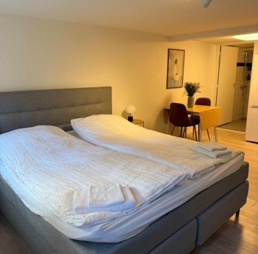 Cozy Apartment near the Center of Aalborg