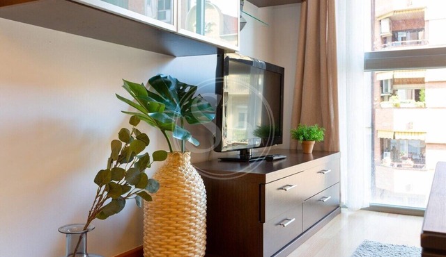 Cozy apartment next to the Sagrada Familia III