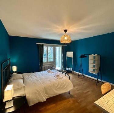 Cozy Apartment on Brahmstrasse in Zürich