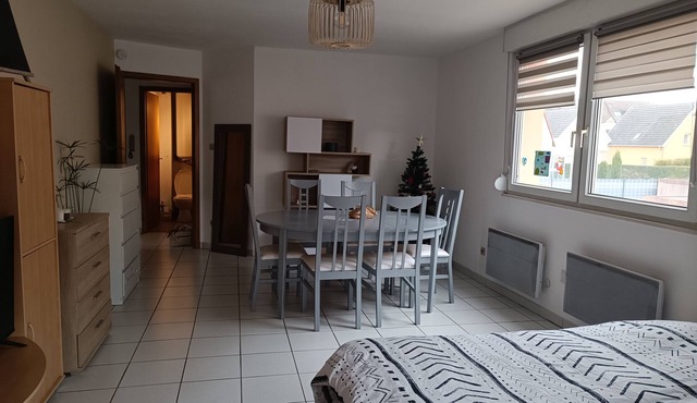 Cozy apartment with a balcony * Sleeps 4 * Near Strasbourg