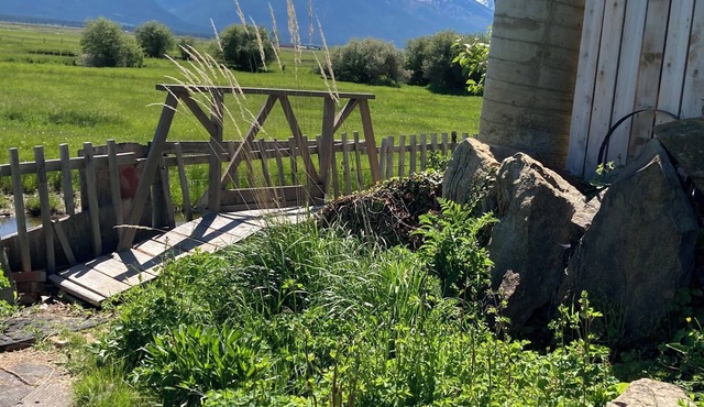 Cozy apartment with amazing Mission Mountain views