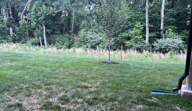 Cozy apartment with an amazing view