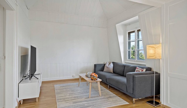 Cozy Apartment with Mountain Views, 15 Minutes from Luzern