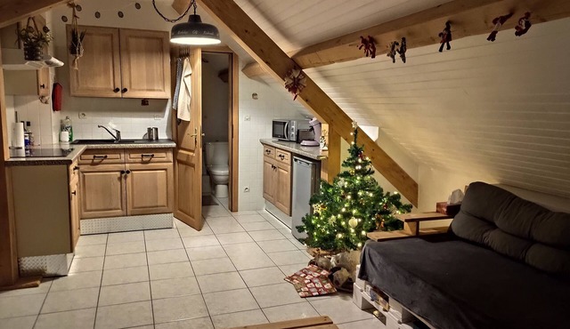 Cozy apartment with views of the mountains!