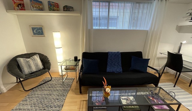 Cozy Apt in Great Central location + free parking - 31 night minimum