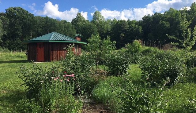 Cozy, Artistic Retreat Surrounded By Waterfalls, Orchards And Gardens