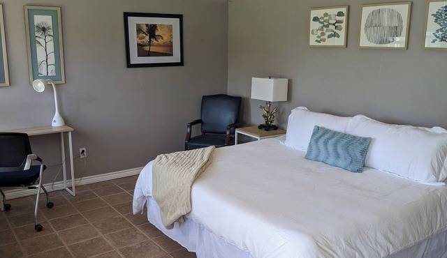 Cozy B- condo in charming Corpus Christi with WiFi, AC near Laguna Madre