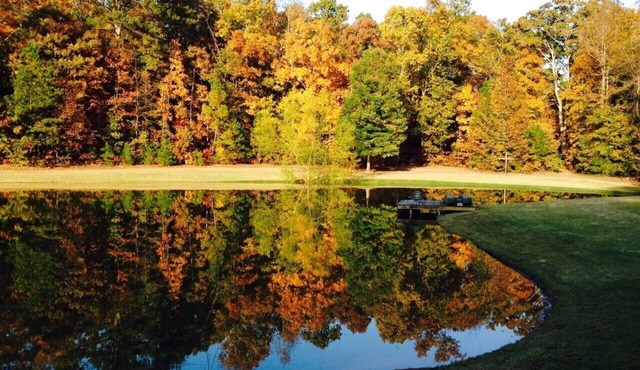 Cozy Barn Escape by Tranquil Pond