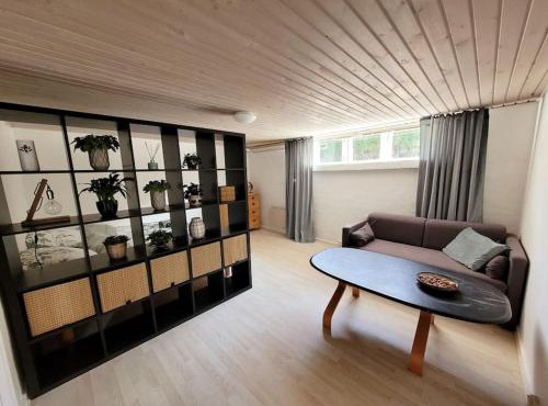Cozy basement apartment in the center