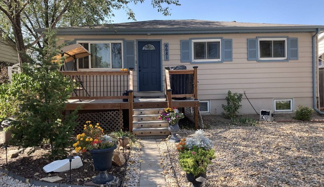Cozy basement apartment close to Denver downtown.