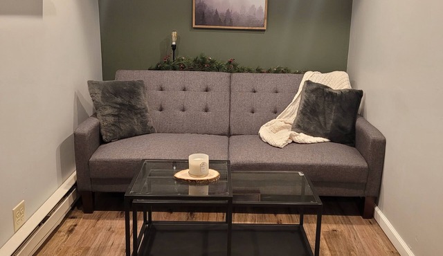 Cozy Basement Apartment (With Private Entrance)