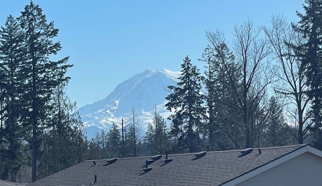 Cozy Basement - in charming Puyallup