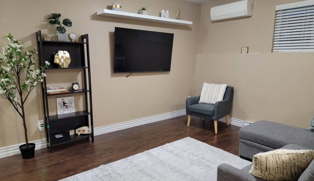 Cozy Basement in the City