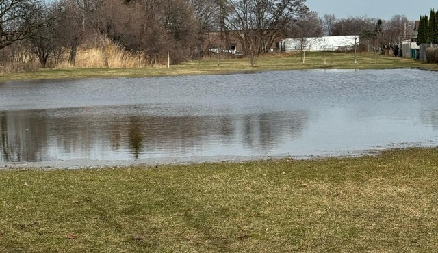 Cozy Basement Retreat -nFree Parking in Etobicoke