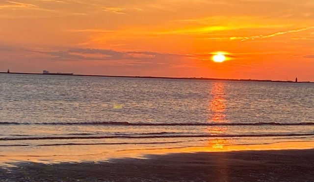 Cozy beach cottage, steps from Lewes Beach