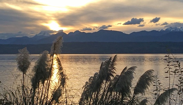 Cozy Beach Retreat-Hood Canal & Olympic Mountain Views
