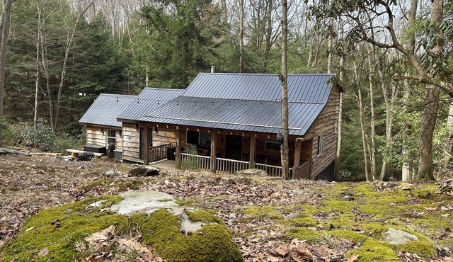 Cozy Bear Cabin in Cook Forest 2 miles from the Clarion River!