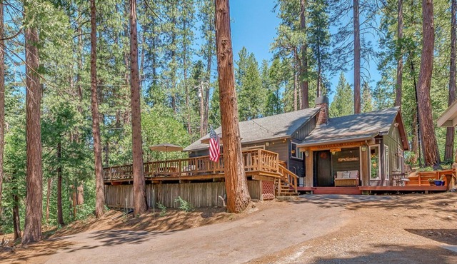 Cozy Bear Cabin - Updated and Clean! Walking Distance to Shopping and Dining