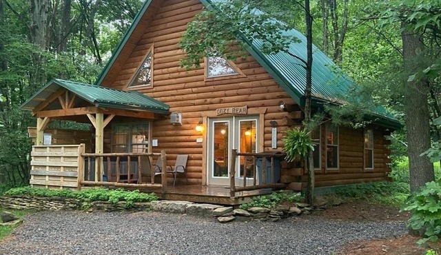 Cozy Bear Log Cabin near Cook Forest State Park