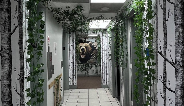 Cozy Bears Bunkers