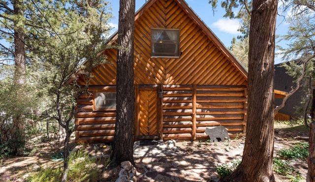 Cozy, Beautiful, and Quiet Log Cabin! Dog friendly