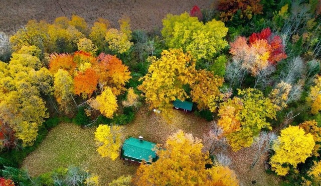 Cozy Beautiful log cabin situated on acreage with access to East Stylus Lake