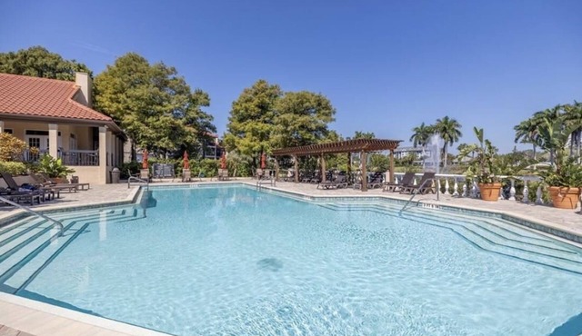 Cozy, beautiful, relaxing, modern condo in the Heart of Tampa Bay.