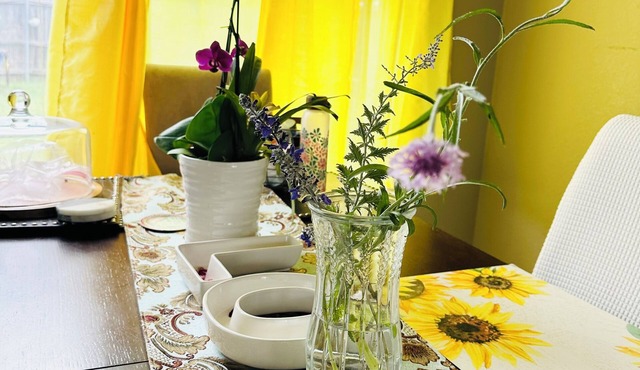 Cozy bed & breakfast in enjoyable Celina with AC, WiFi