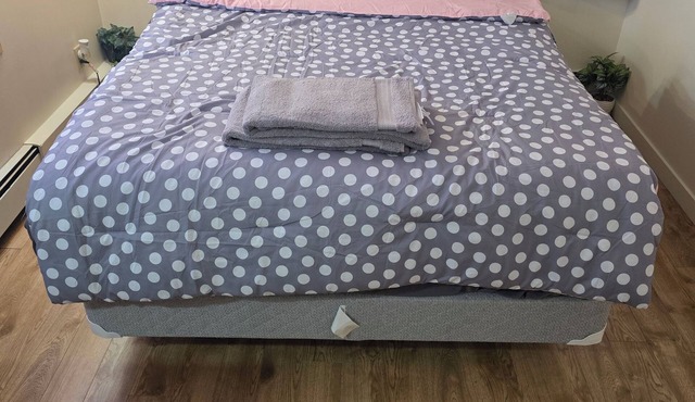 Cozy bedroom, beautiful surroundings and close to downtown