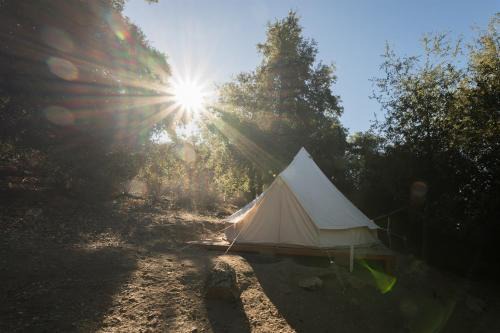 Cozy Bell Tent in Palomar Mountains