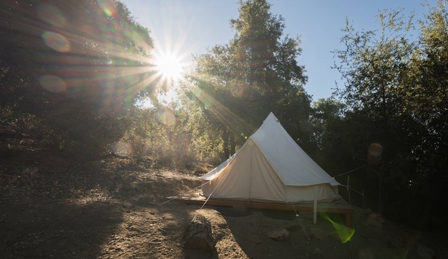 Cozy Bell Tent in Palomar Mountains