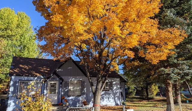 Cozy Blue "Beary" Cottage in the heart of Garden City